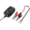 Mini Cargador de 1 A para baterías de 6 y 12V