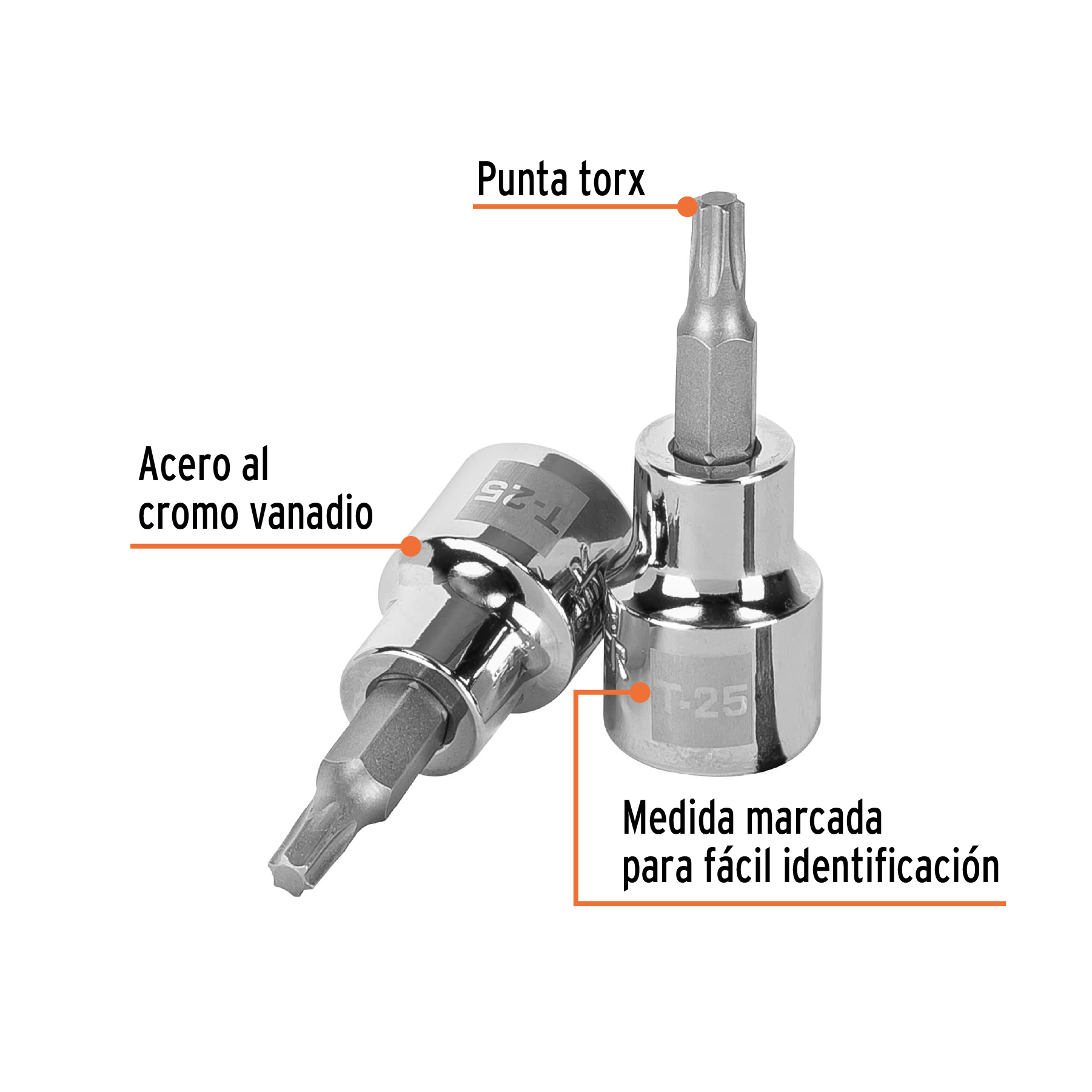 Copa punta torx T-25 13571