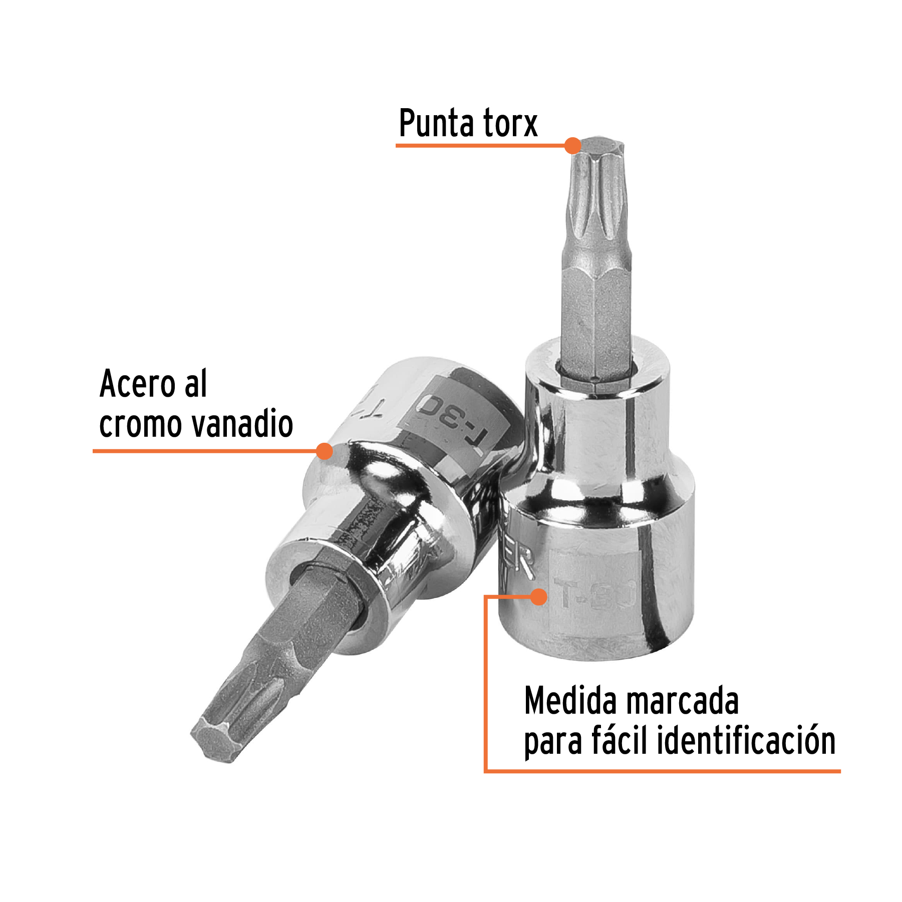 Copa de punta torx 13573